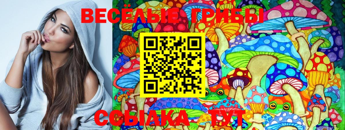 Тула  Псилоцибиновые грибы Cubensis  Вход с VPN 